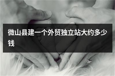 [year]微山县建一个外贸独立站大约多少钱