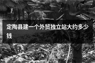 [year]定陶县建一个外贸独立站大约多少钱