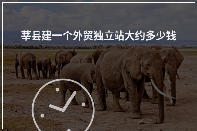 [year]莘县建一个外贸独立站大约多少钱