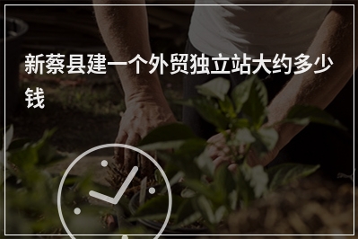 [year]新蔡县建一个外贸独立站大约多少钱