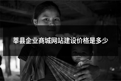 [year]莘县企业商城网站建设价格是多少