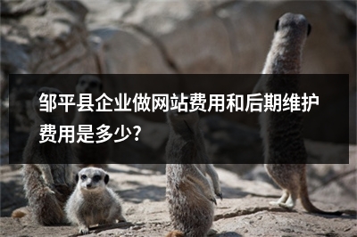 [year]邹平县企业做网站费用和后期维护费用是多少?