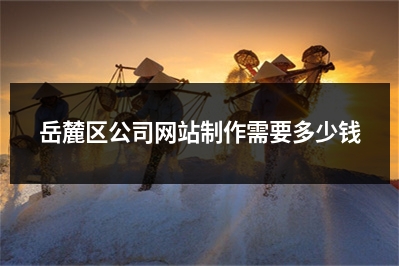 [year]岳麓区公司网站制作需要多少钱