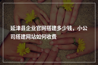 [year]延津县企业官网搭建多少钱，小公司搭建网站如何收费