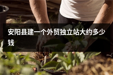 [year]安阳县建一个外贸独立站大约多少钱