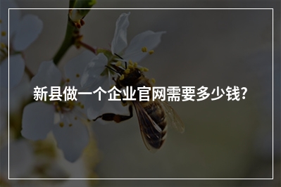 [year]新县做一个企业官网需要多少钱?