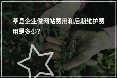 [year]莘县企业做网站费用和后期维护费用是多少?