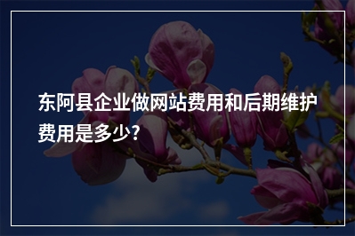 [year]东阿县企业做网站费用和后期维护费用是多少?