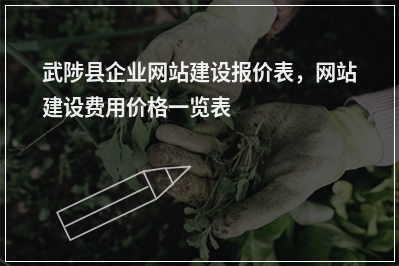 [year]武陟县企业网站建设报价表，网站建设费用价格一览表