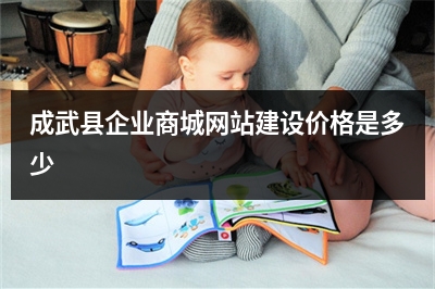 [year]成武县企业商城网站建设价格是多少