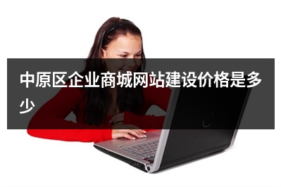 [year]中原区企业商城网站建设价格是多少