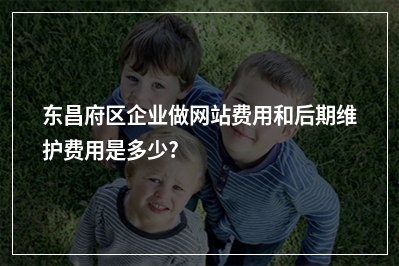 [year]东昌府区企业做网站费用和后期维护费用是多少?