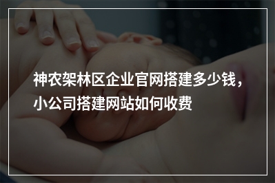 [year]神农架林区企业官网搭建多少钱，小公司搭建网站如何收费