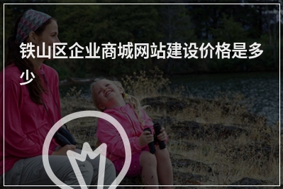 [year]铁山区企业商城网站建设价格是多少
