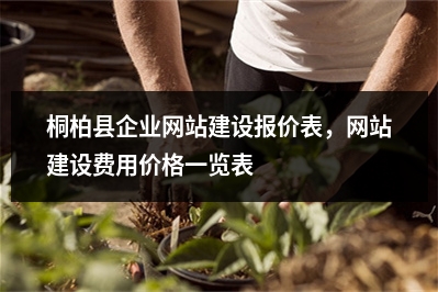 [year]桐柏县企业网站建设报价表，网站建设费用价格一览表