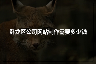 [year]卧龙区公司网站制作需要多少钱