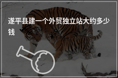 [year]遂平县建一个外贸独立站大约多少钱