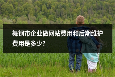[year]舞钢市企业做网站费用和后期维护费用是多少?