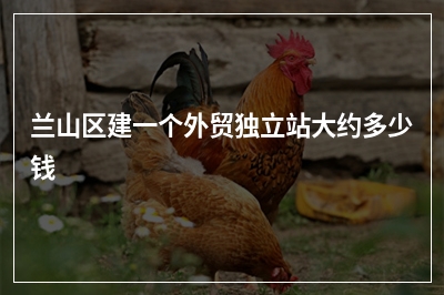 [year]兰山区建一个外贸独立站大约多少钱