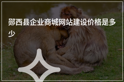 [year]郧西县企业商城网站建设价格是多少