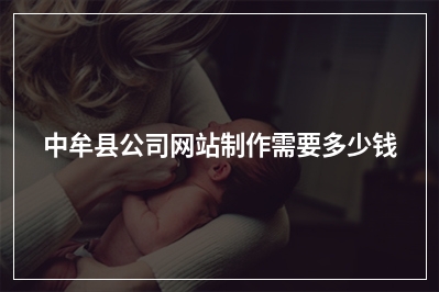 [year]中牟县公司网站制作需要多少钱