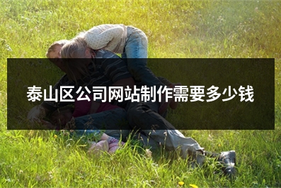 [year]泰山区公司网站制作需要多少钱