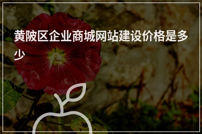 [year]黄陂区企业商城网站建设价格是多少