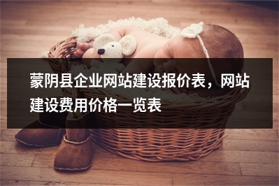 [year]蒙阴县企业网站建设报价表，网站建设费用价格一览表