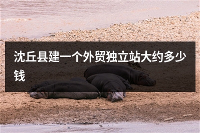 [year]沈丘县建一个外贸独立站大约多少钱