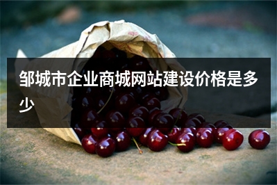 [year]邹城市企业商城网站建设价格是多少