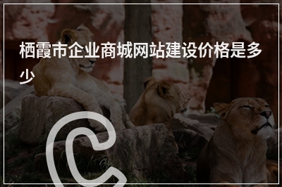 [year]栖霞市企业商城网站建设价格是多少