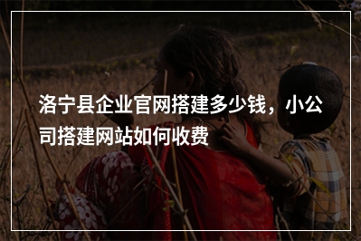 [year]洛宁县企业官网搭建多少钱，小公司搭建网站如何收费