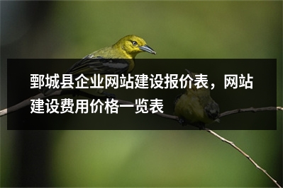 [year]鄄城县企业网站建设报价表，网站建设费用价格一览表