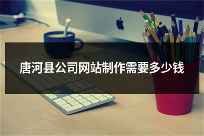 [year]唐河县公司网站制作需要多少钱