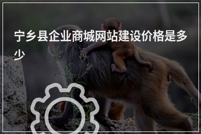 [year]宁乡县企业商城网站建设价格是多少