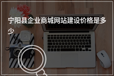 [year]宁阳县企业商城网站建设价格是多少