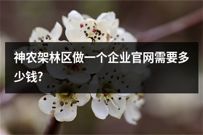 [year]神农架林区做一个企业官网需要多少钱?