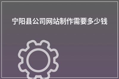 [year]宁阳县公司网站制作需要多少钱