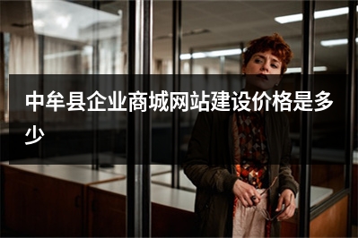 [year]中牟县企业商城网站建设价格是多少