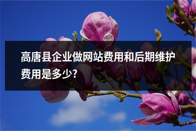 [year]高唐县企业做网站费用和后期维护费用是多少?