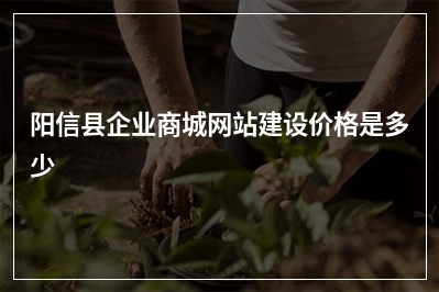[year]阳信县企业商城网站建设价格是多少