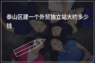 [year]泰山区建一个外贸独立站大约多少钱