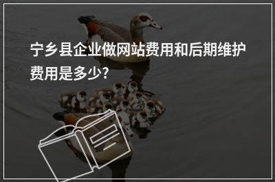[year]宁乡县企业做网站费用和后期维护费用是多少?