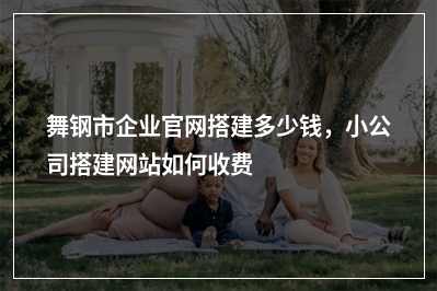 [year]舞钢市企业官网搭建多少钱，小公司搭建网站如何收费