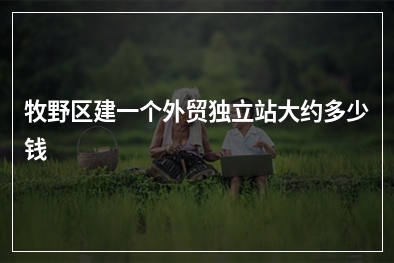 [year]牧野区建一个外贸独立站大约多少钱