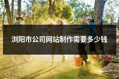 [year]浏阳市公司网站制作需要多少钱