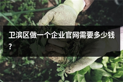 [year]卫滨区做一个企业官网需要多少钱?