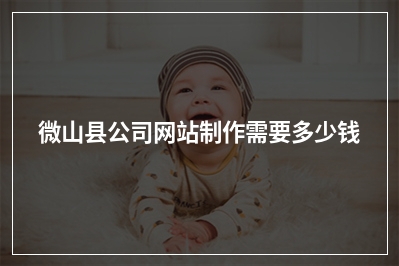 [year]微山县公司网站制作需要多少钱