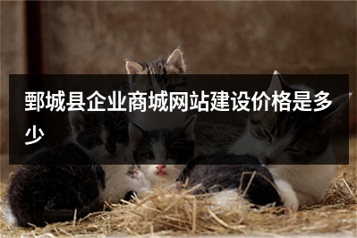 [year]鄄城县企业商城网站建设价格是多少