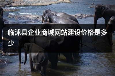 [year]临沭县企业商城网站建设价格是多少